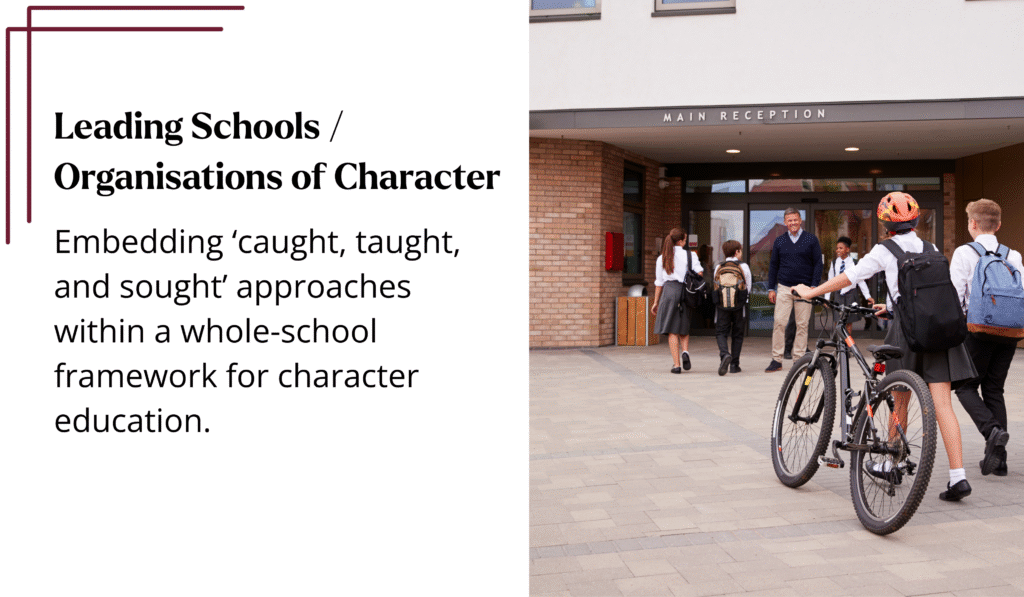 copy of c ed website images